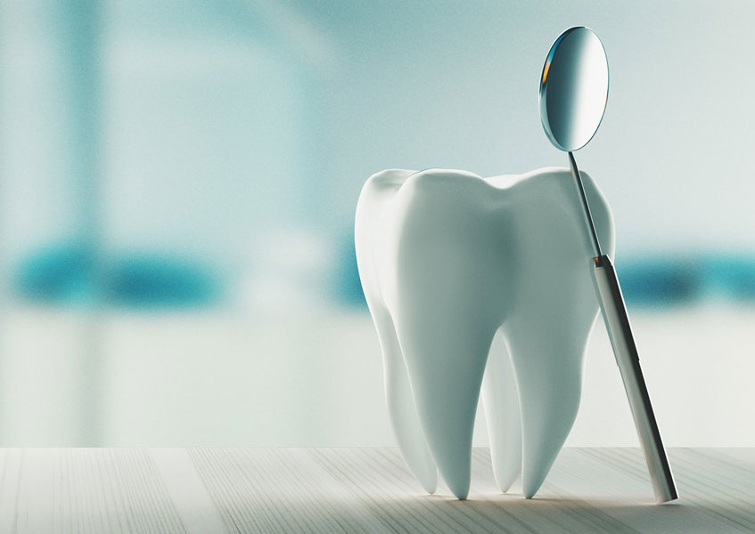 Training & Expertise